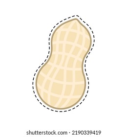 Peanut isolated on white background. Vector illustration.