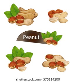 Peanut kernel in nutshell with green leaves set isolated on white background vector illustration. Organic food ingredient, traditional snack. Peanut nut seed whole and shelled, groundnut collection
