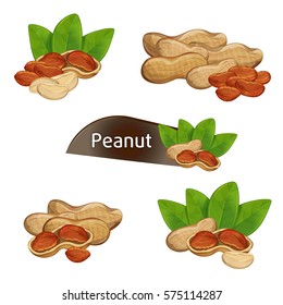 Peanut kernel in nutshell with green leaves set isolated on white background vector illustration. Organic food ingredient, traditional snack. Peanut nut seed whole and shelled, groundnut collection