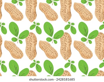 Peanut kernels in shell with peanut tree leaves. Seamless pattern in vector. Suitable for backgrounds and prints