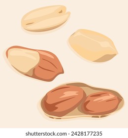 Peanut kernels in the shell are whole and half of them. Vector nuts icons.