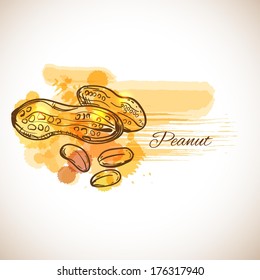 Peanut label spot - vector illustration