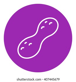 Peanut line icon.