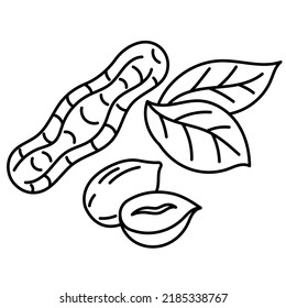 Das Symbol der Erdnusslinie. Kochzutat. Bearbeitbare Hubgröße. Nackt Sketch-Illustration.