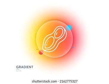 Peanut line icon. Gradient blur button with glassmorphism. Tasty nut sign. Vegan food symbol. Transparent glass design. Peanut line icon. Vector