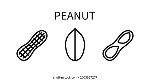 Peanut Line Icon Is In A Simple Style. Vector sign in a simple style isolated on a white background. Original size 64x64 pixels.