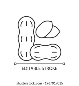 Peanut linear icon. Nut for nourishment. Protein foodstuff. Common allergen, cause of allergy. Thin line customizable illustration. Contour symbol. Vector isolated outline drawing. Editable stroke