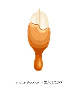 Peanut with liquid melted chocolate. Nutritious natural sweet dessert vector illustration