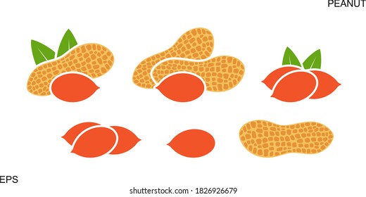 Peanut logo.  Isolated peanut on white background