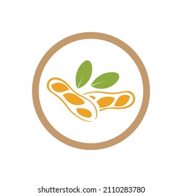plantilla de diseño de ilustración vectorial de logotipo de cacahuete