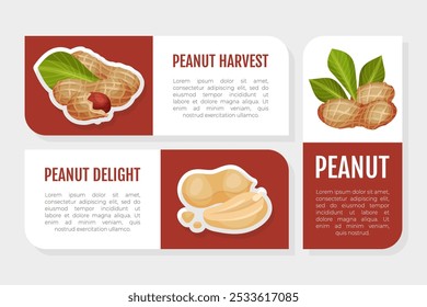 Peanut Natural Label Design with Kernel Shell Vector Template