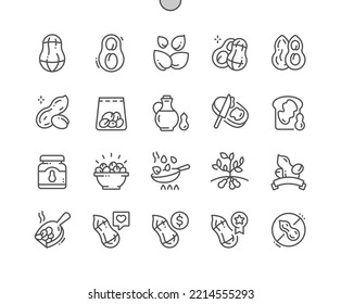 Peanut. Nature vegetable organic food nutrition. Nut collection. Pixel Perfect Vector Thin Line Icons. Simple Minimal Pictogram