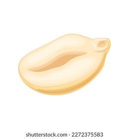 peanut nut cartoon. snack food, natural healthy, nutrition organic, seed ingredient, eat peanut nut vector illustration