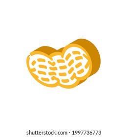 peanut nut isometric icon vector. peanut nut sign. isolated symbol illustration