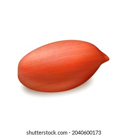 Vector de refrigerios naturales de vitamina del núcleo de nueces de cacahuete. Nutrición Vegetariana Bio Peanut. Agricultura saludable Subtropo Temporal de la Plantilla de Alimentos de Cosecha de Nueces de Groundlandia Realista 3d Ilustración