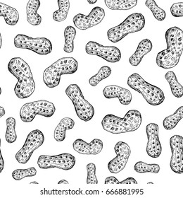 Peanut nut vector seamless pattern. Hand drawn background. Food ingredient sketch. Great for packaging design, fabric, label, wrapping paper
