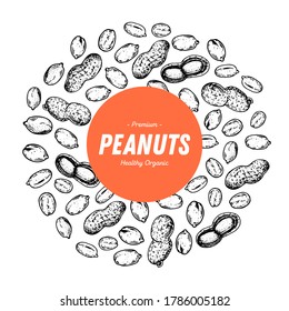 Peanut nuts hand drawn sketch. Peanuts label, logo. Nuts vector illustration. Organic healthy food. Great for packaging design. Engraved style. Black and white color.