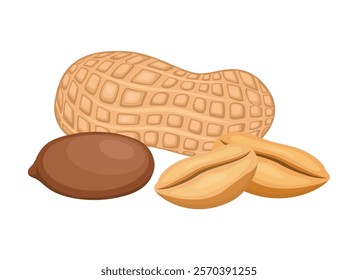 Peanut nuts icon set vector isolated on a white background. Roasted peanuts in shell design element. Pile of peanuts vector illustration