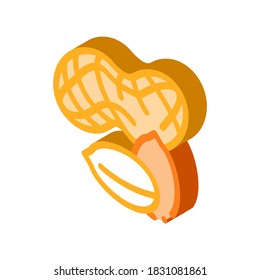 peanut nuts icon vector. isometric peanut nuts sign. color isolated symbol illustration
