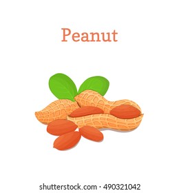 Peanut nuts with leaves. Vector illustration of a handful of groundnut isolated on white background it can be used as packaging design element, printing brochures on healthy and vegetarian diet