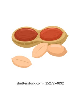 Peanut on white background. Grain and kernel in the skin in the flat style. Vector illustration