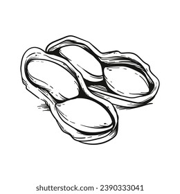 peanut outline illustration. hand drawn peanut sketch. peanut black and white vector drawing. peanut isolated on white background. vector illustration. peanuts line art drawing. peanuts outline.