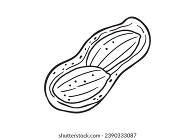 peanut outline illustration. hand drawn peanut sketch. peanut black and white vector drawing. peanut isolated on white background. vector illustration. peanuts line art drawing. peanuts outline.