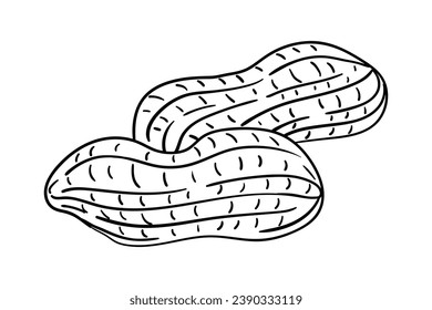 ilustración del esquema de cacahuete. boceto de cacahuete dibujado a mano. dibujo vectorial en blanco y negro de cacahuete. cacahuete aislado de fondo blanco. ilustración vectorial. dibujo de líneas de cacahuetes. contorno de cacahuetes.