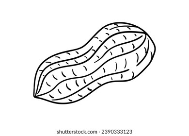 peanut outline illustration. hand drawn peanut sketch. peanut black and white vector drawing. peanut isolated on white background. vector illustration. peanuts line art drawing. peanuts outline.