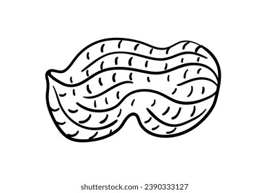 peanut outline illustration. hand drawn peanut sketch. peanut black and white vector drawing. peanut isolated on white background. vector illustration. peanuts line art drawing. peanuts outline.