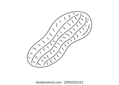 peanut outline illustration. hand drawn peanut sketch. peanut black and white vector drawing. peanut isolated on white background. vector illustration. peanuts line art drawing. peanuts outline.