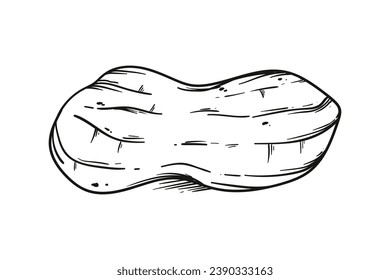 peanut outline illustration. hand drawn peanut sketch. peanut black and white vector drawing. peanut isolated on white background. vector illustration. peanuts line art drawing. peanuts outline.