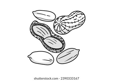 ilustración del esquema de cacahuete. boceto de cacahuete dibujado a mano. dibujo vectorial en blanco y negro de cacahuete. cacahuete aislado de fondo blanco. ilustración vectorial. dibujo de líneas de cacahuetes. contorno de cacahuetes.