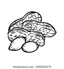 peanut outline illustration. hand drawn peanut sketch. peanut black and white vector drawing. peanut isolated on white background. vector illustration. peanuts line art drawing. peanuts outline.