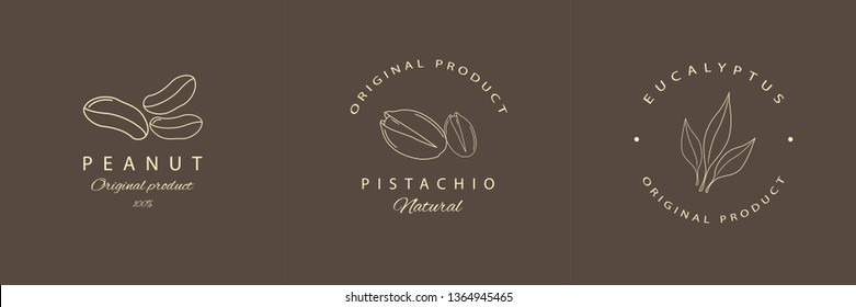 Peanut, Pistachio, Eucalyptus Logotypes Or Emblems. Vector Line Logo.