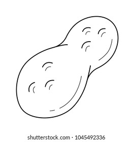 Peanut pod vector line icon isolated on white background. Vector line icon of healthy nut - peanut in shell for infographic, website or app.