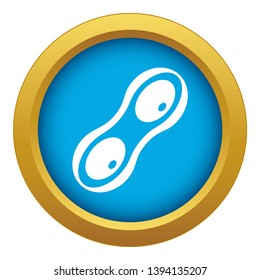 Peanut pods icon blue vector isolated on white background for any design