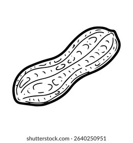 Peanut raw in skin. Hand drawn doodle vector. Ripe bean nut. Natural food. Organic ingredient. Grain seeds. Agricultural plant. Farm product. Illustration line art element.