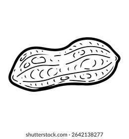 Peanut raw in skin. Hand drawn doodle vector. Ripe bean nut. Natural food. Organic ingredient. Grain seeds. Agricultural plant. Farm product. Illustration line art element.