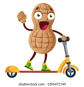 Peanut riding electric scooter, illustration, vector on white background.
