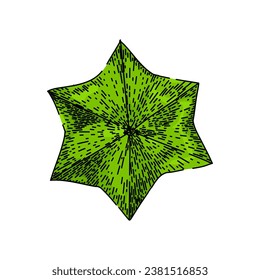 peanut sacha inchi hand drawn. inca protein, plant green, brown fresh peanut sacha inchi vector sketch. isolated color illustration