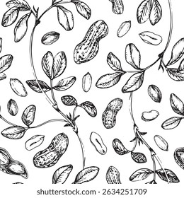 Peanut seamless vector pattern hand drawn with ink. Graphic ornament with whole and cut nuts in shell and peeled kernels. For label design