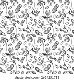 Peanut seamless vector pattern hand drawn with ink. Graphic ornament with whole and cut nuts in shell and peeled kernels. For label design