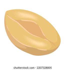 peanut seed organic product icon