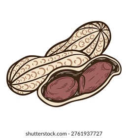 Peanut seeds in a pod, open nutshell, salty snack, colourful, hand-drawn illustration, line art contour, isolated