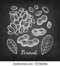 Peanut set. Chalk sketch on blackboard background. Hand drawn vector illustration. Retro style.