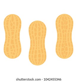 Peanut set. Isolated vector Illustration.