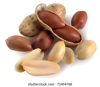 Peanut in a shell and cleared on a white background