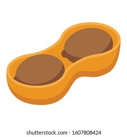 Peanut in shell icon. Isometric of peanut in shell vector icon for web design isolated on white background