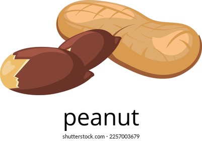 Peanut shell nut icon. Healthy raw snack